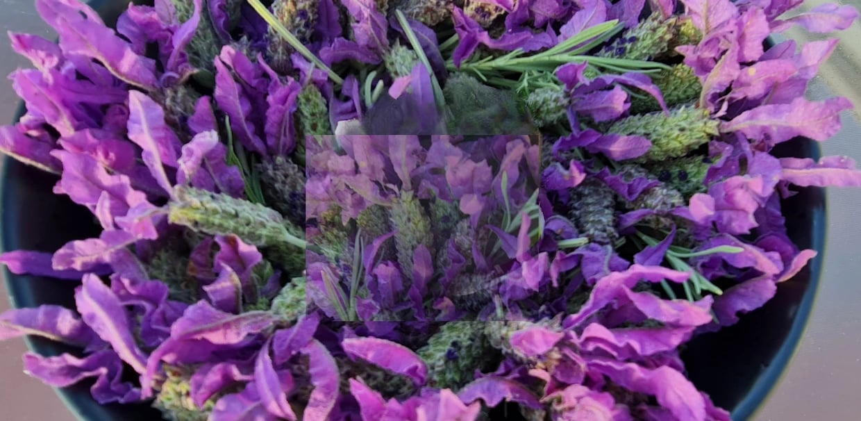 Bowl of Lavender representing peace and healing