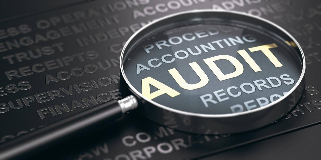 audit service provided by Chartered accountants kochi