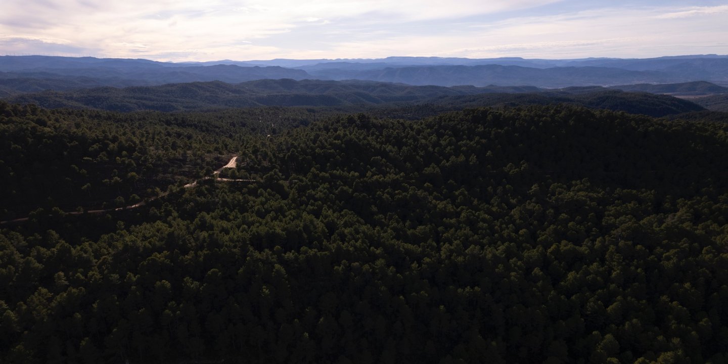 Trabajar en el campo