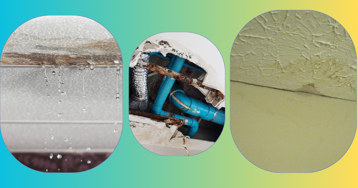 اضرار تسربات المياه