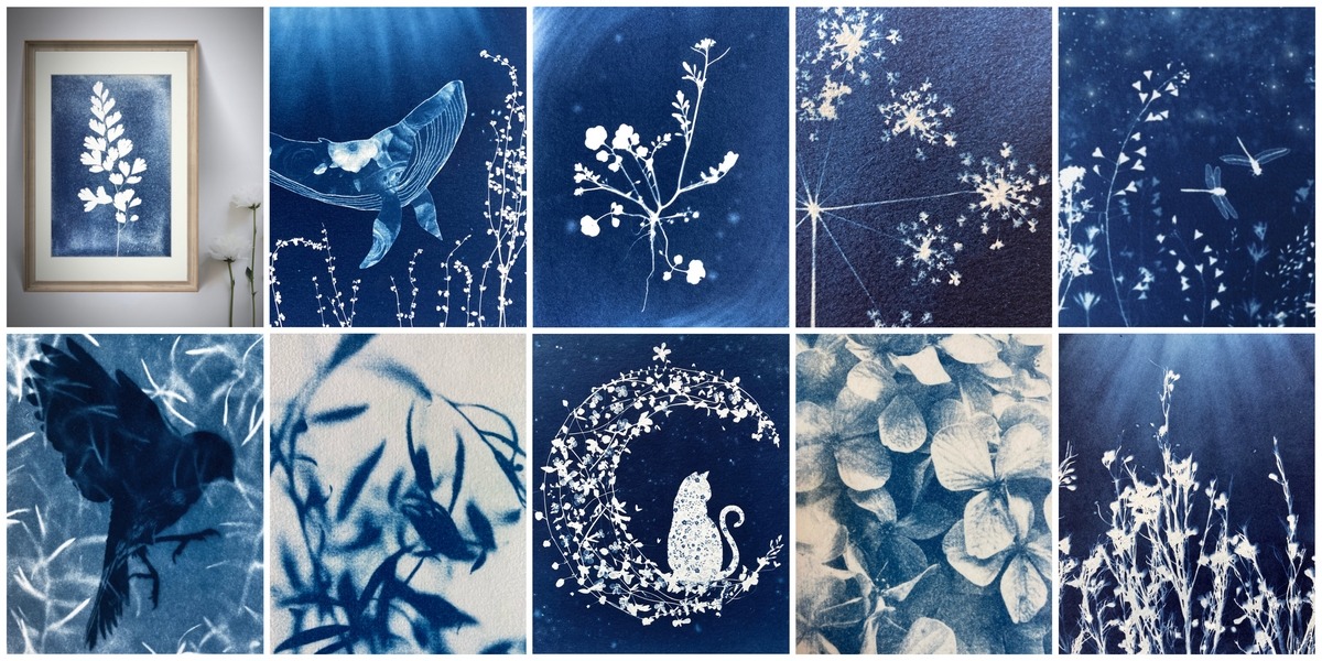 medley de cyanotypes réalisés par Atie Lazuli