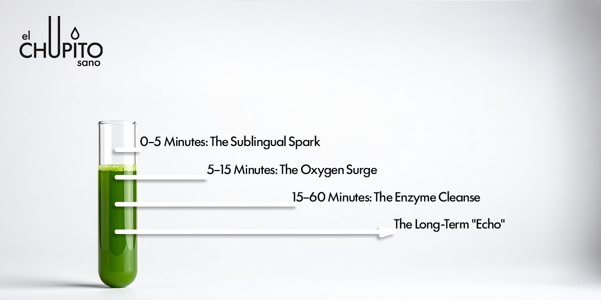 A green wellness shot infographic detailing sublingual spark, oxygen surge, and enzyme cleanse benefits.