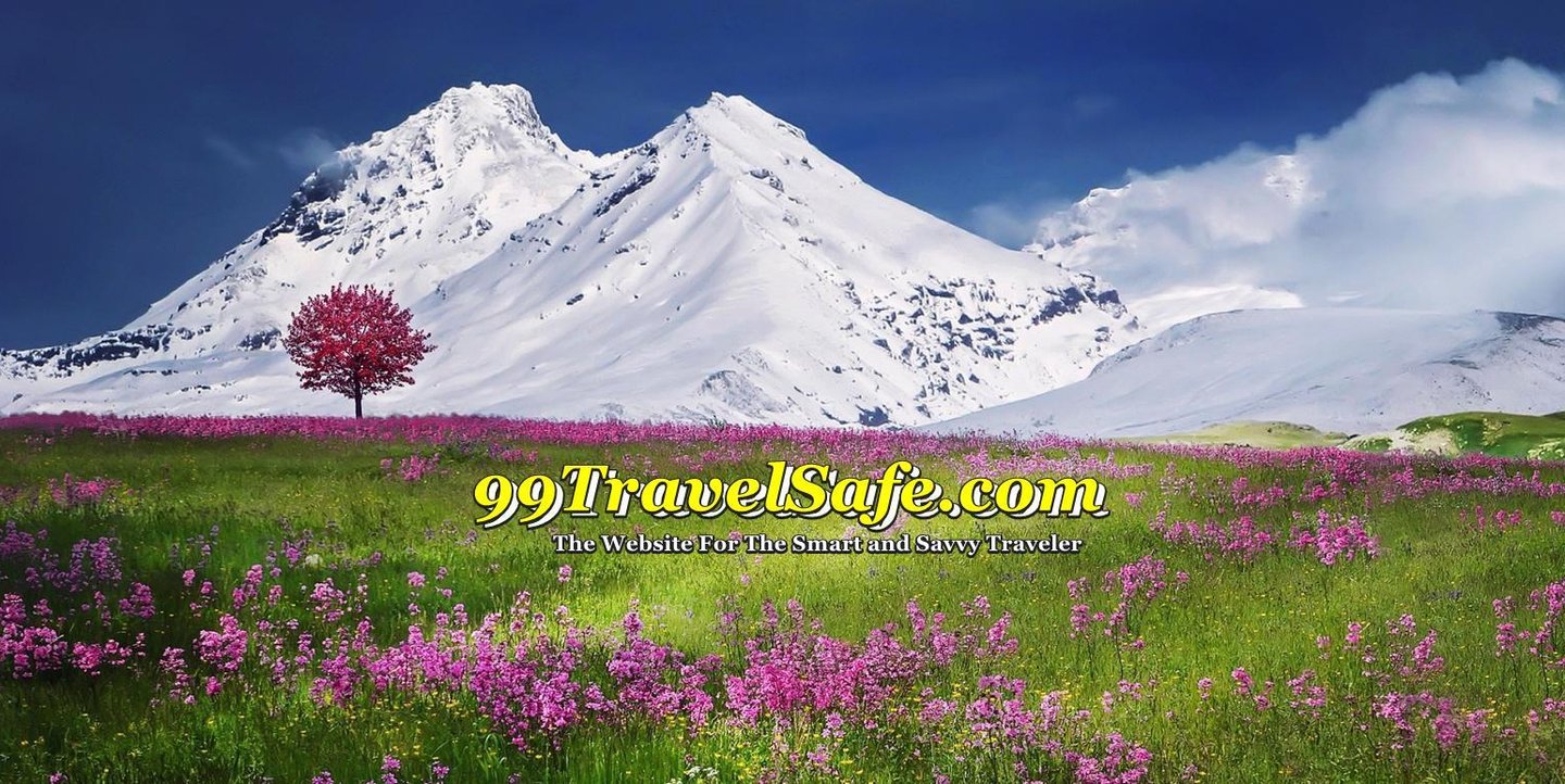 Travel Safety Tips from 99TravelSafe.com - The Website for The Smart and Savvy Traveler!