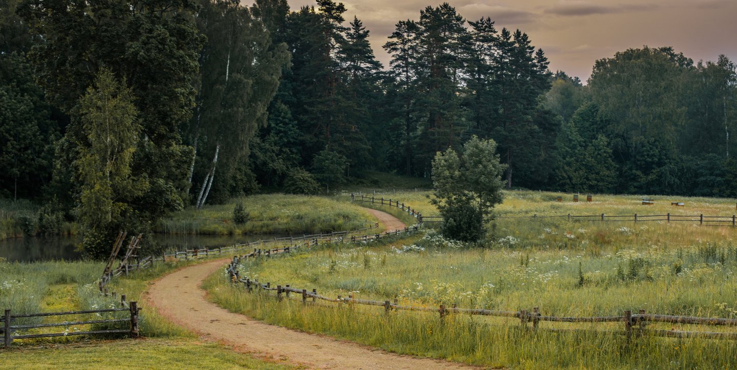 a dirt road with a fenced in forest