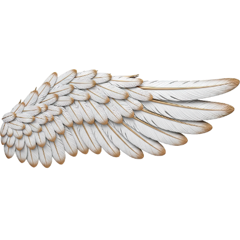 angel wing