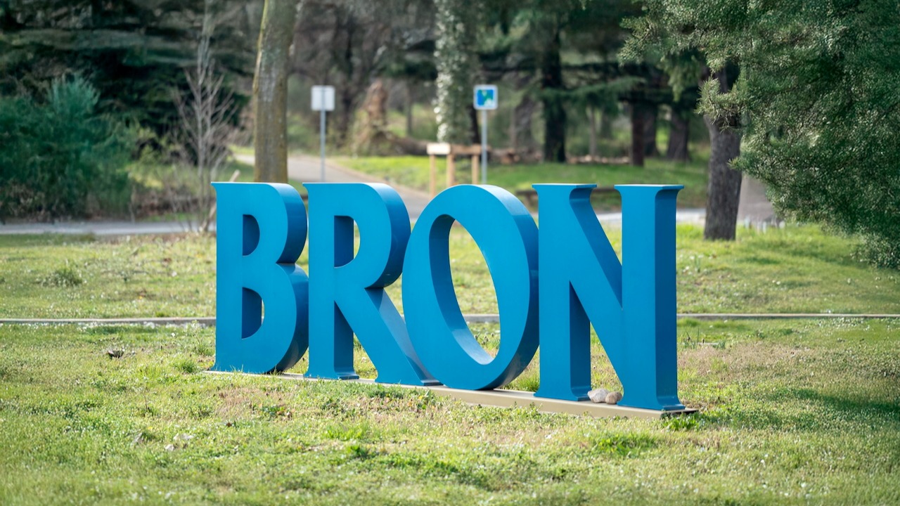 Accueil Bron