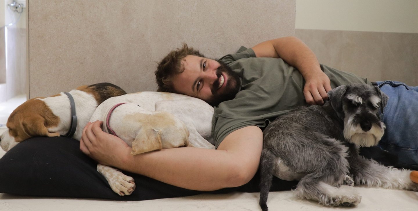 cuidador canino con perros descansando en una guardería canina