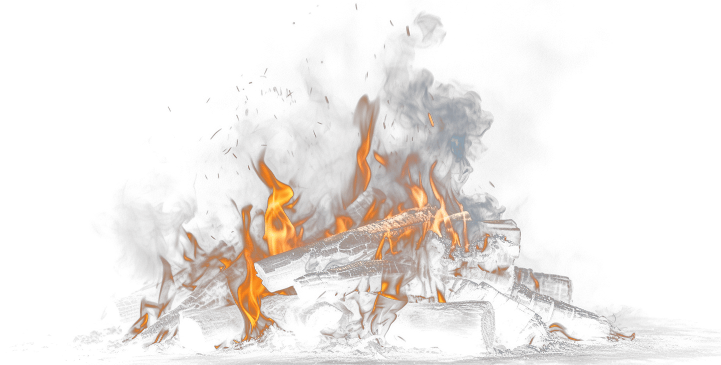 FEU AUX BOIS
