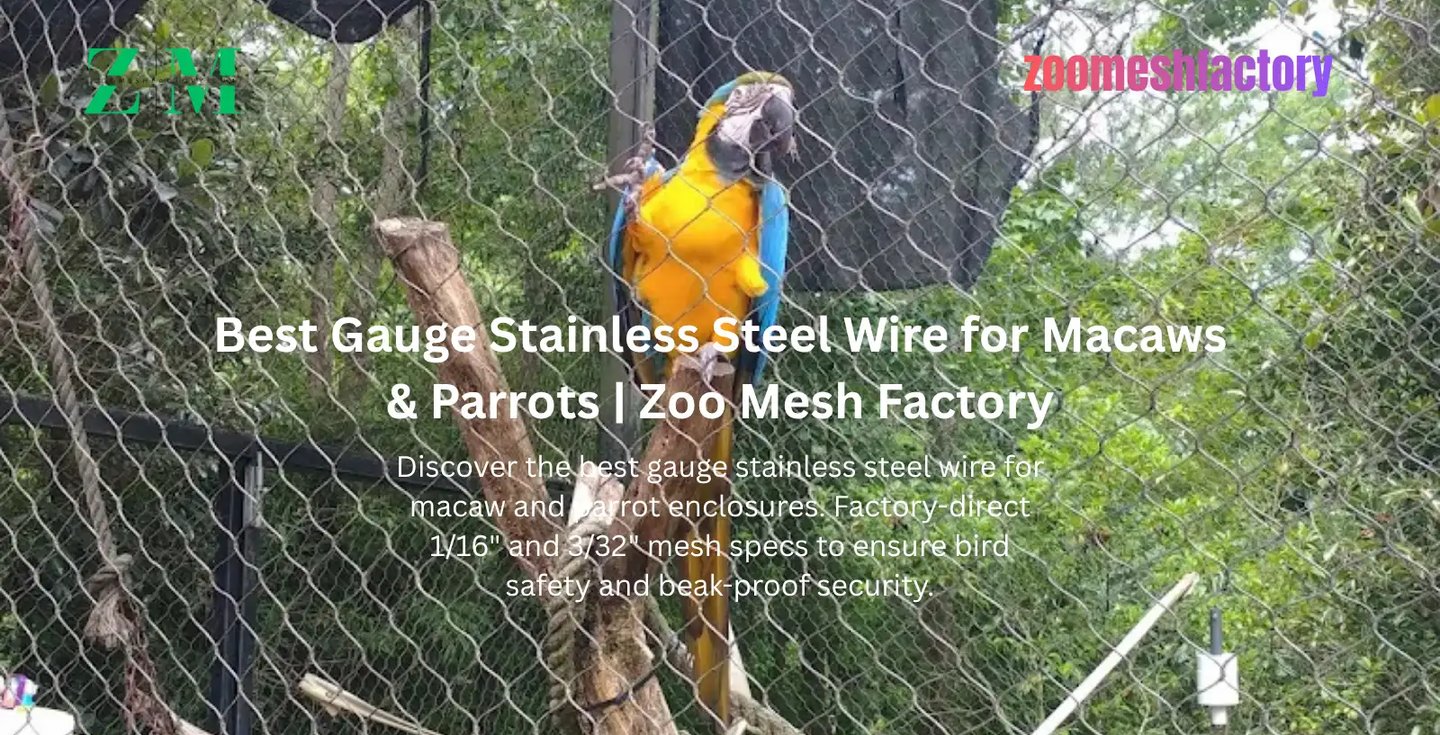 A Blue-and-Gold Macaw safely climbing on 2" x 2" x 3/32" hand-woven stainless steel mesh from Zoomesh Factory.