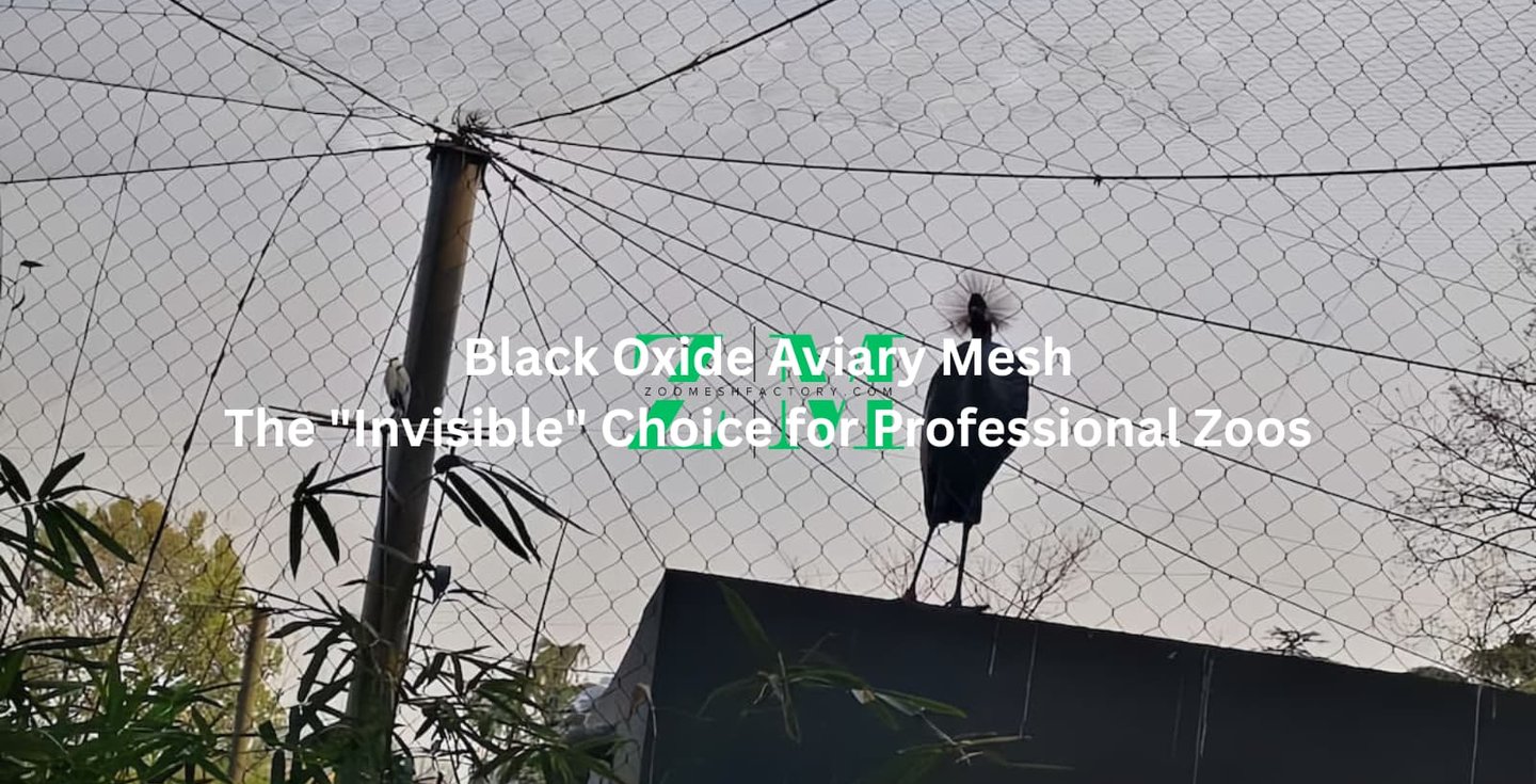 Black oxide aviary mesh enclosure for professional zoo bird exhibits and wildlife containment.