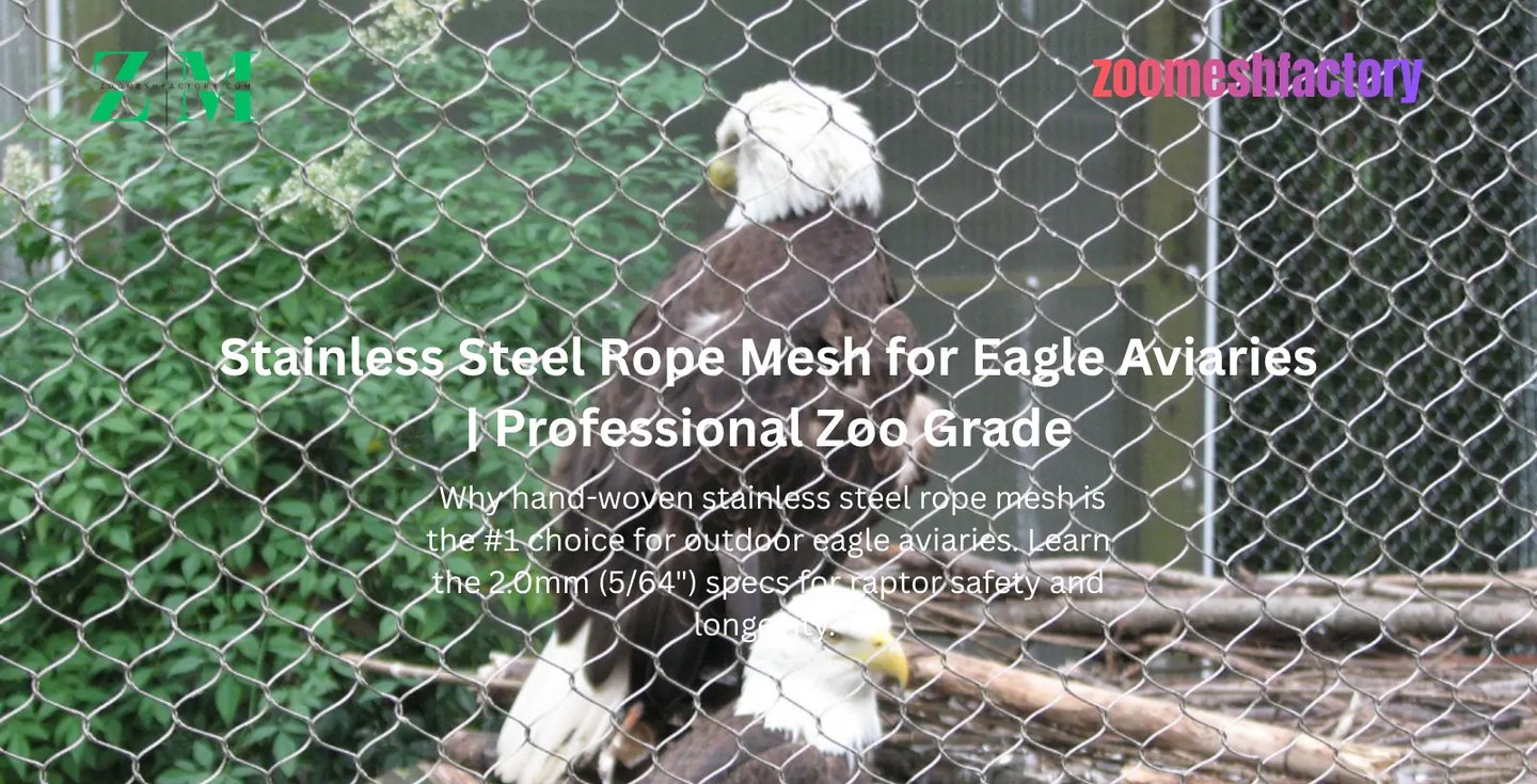 Bald Eagles in an outdoor aviary with 2.0mm hand-woven stainless steel rope mesh.