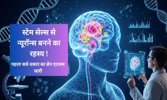 Scientists create first brain development atlas showing how stem cells transform into neurons.