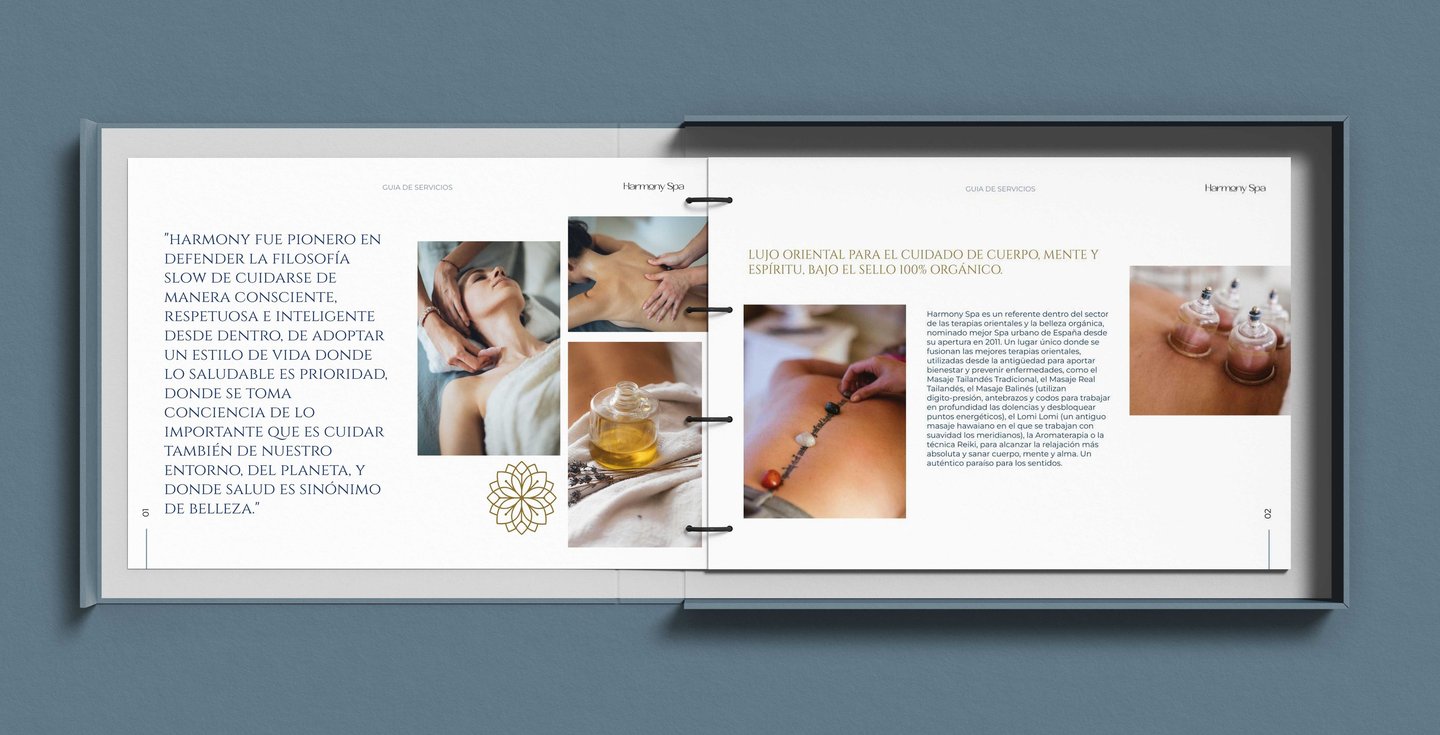 diseño branding y material colateral