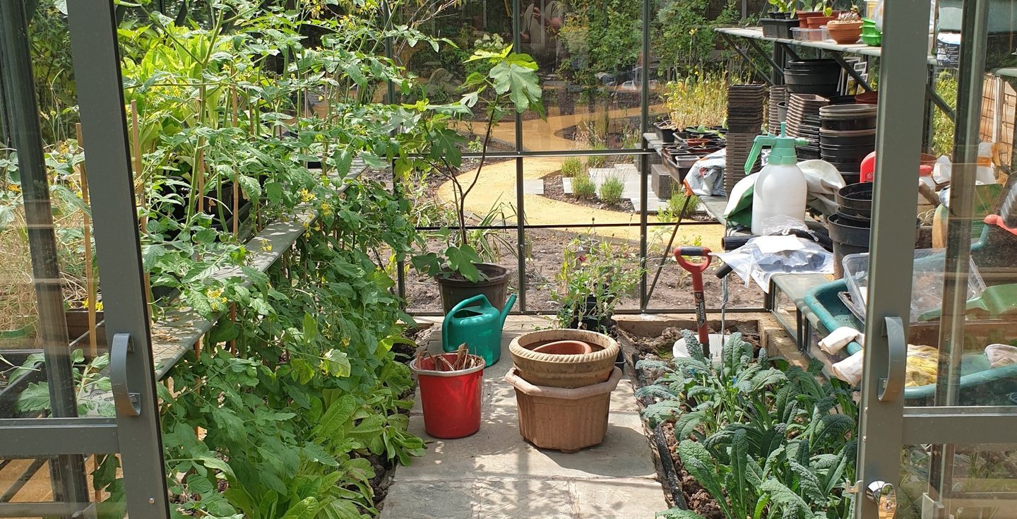 Photo of a garden design in Cheshire by Jon Pilling looking through a greenhouse filled with plants