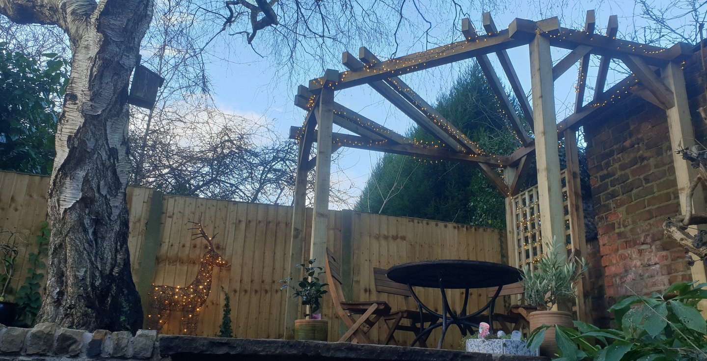 A pergola next to a birch tree designed by The Intrinsic Link