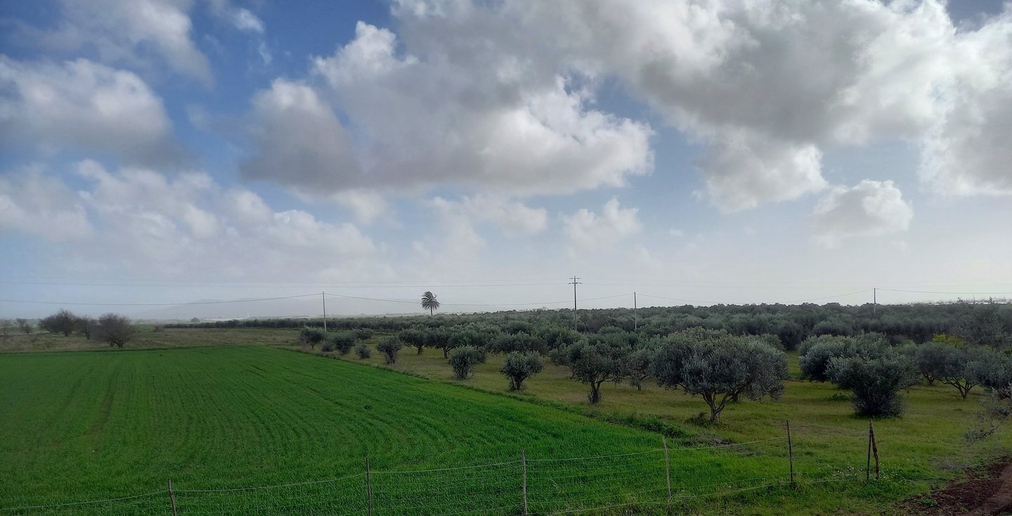 a field with a fenced in area with a fenced in area with a