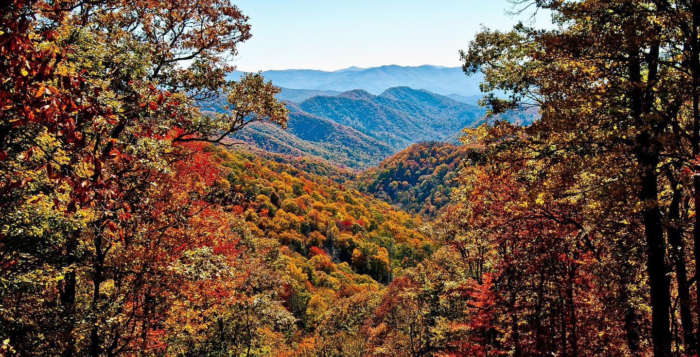 Autumn in the Appalachian mountains. Majestic panorama of colorful , soft mountain peaks.