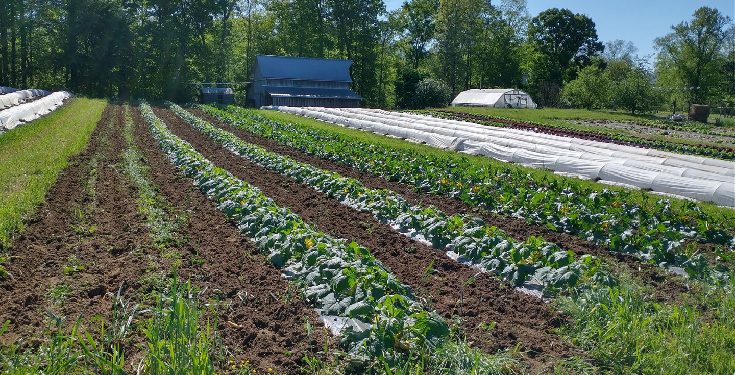 Sand Mountain Harvest Produce Delivery