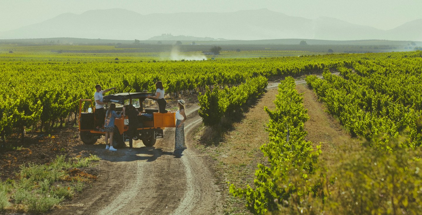 Un grupo de amigos visitan un viñedo de Montilla Moriles y se detienen a ver las hermosas vistas de la campiña