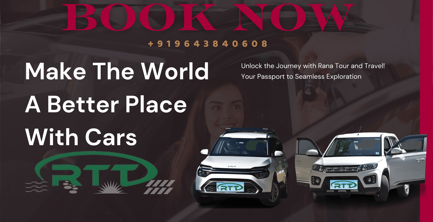 a woman is driving a car with a license plate