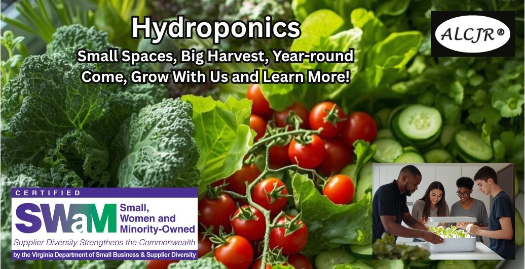 Home Page Hydroponic Image
