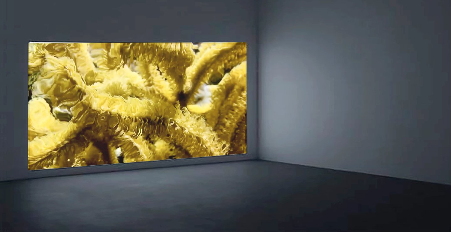 digital art, video installation,  joanna wlaszyn