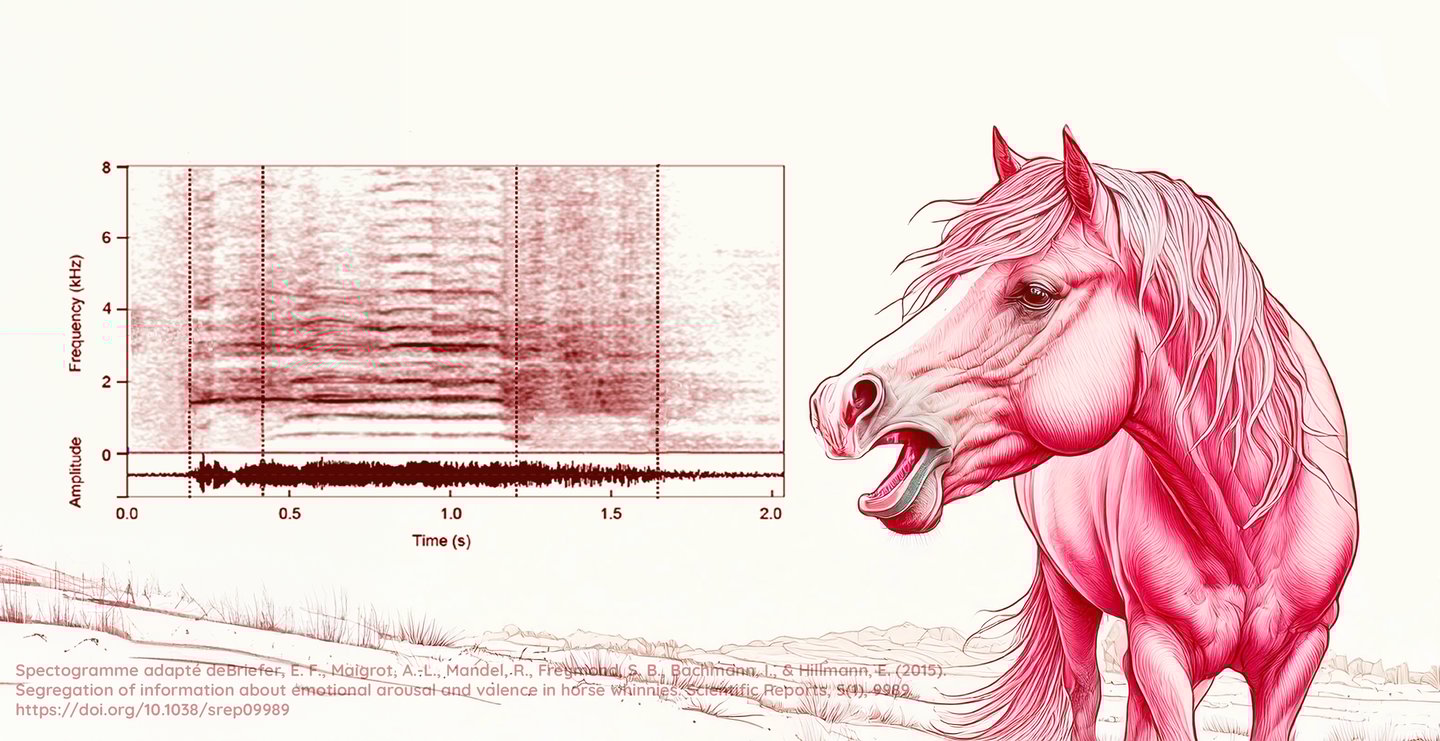 emotions cheval etude theorie