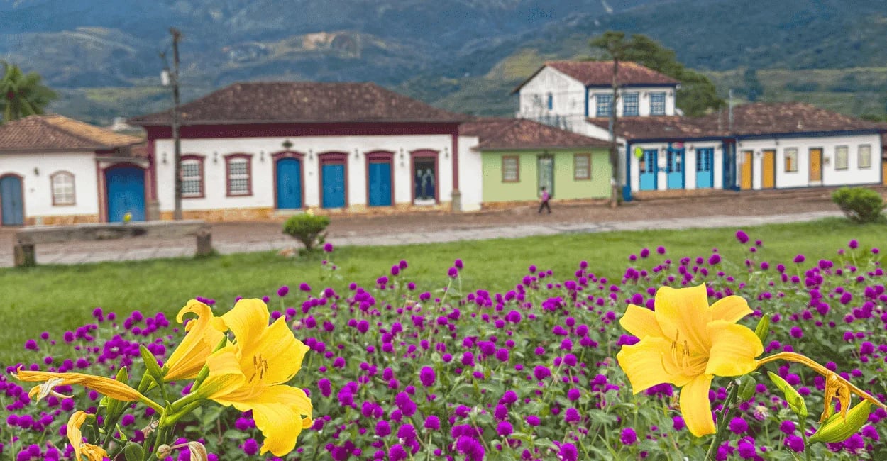 Flores amarelas e roxas em primeiro plano em Catas Altas, casarões coloniais coloridos e montanhas