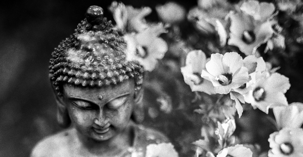 bouddha et fleurs