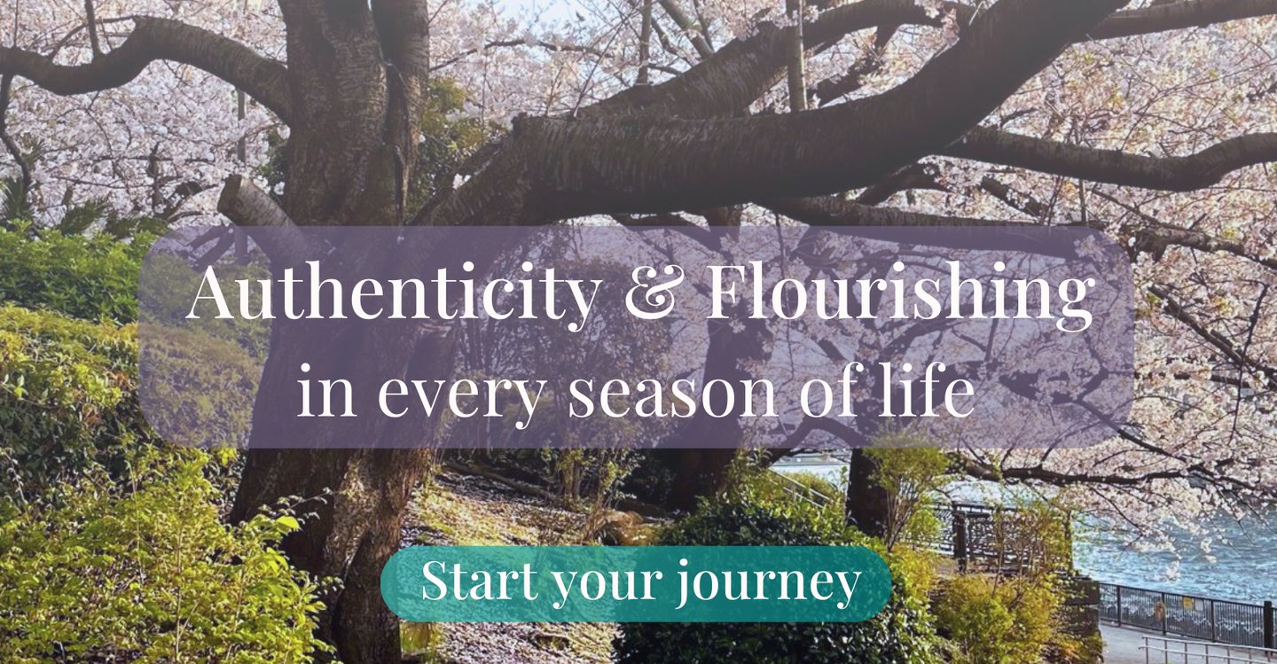 Cherry blossoms at sunset – symbolizing growth and seasonal transitions