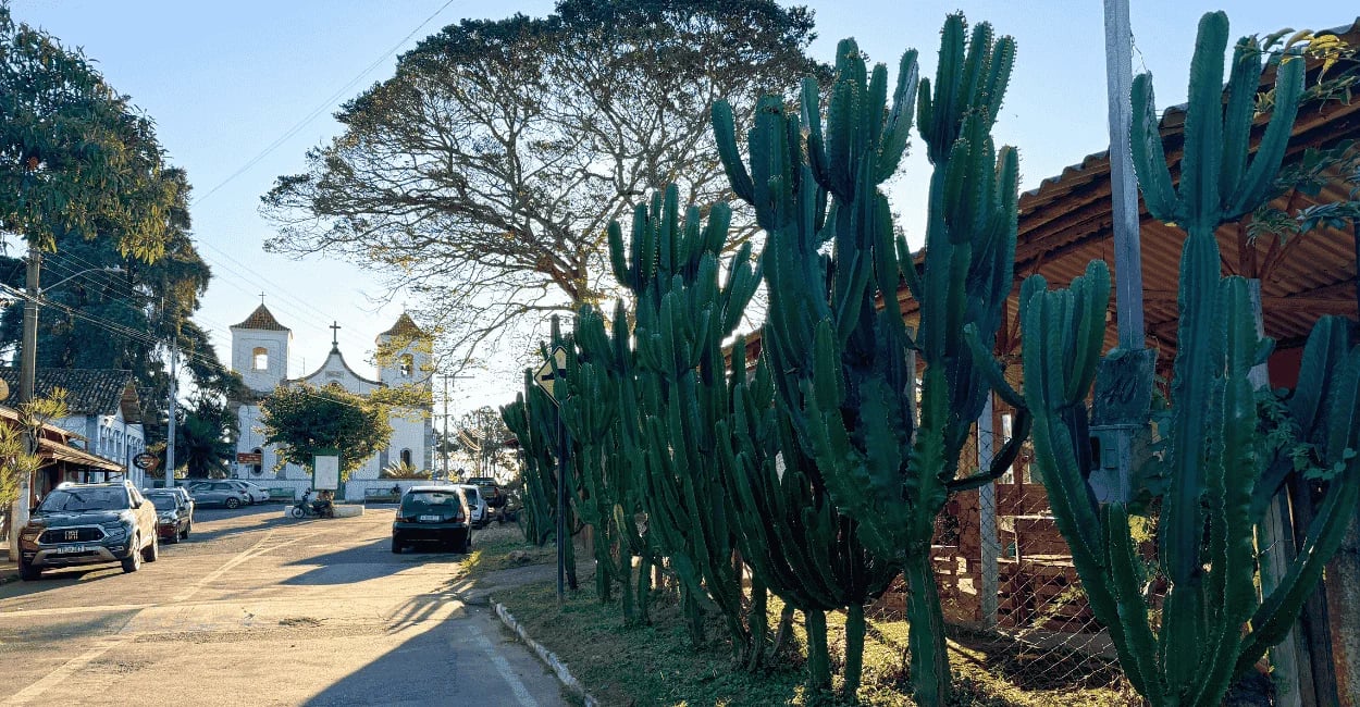 Rua de Acuruí com cactos altos à beira da via e igreja branca historica barroca ao fundo