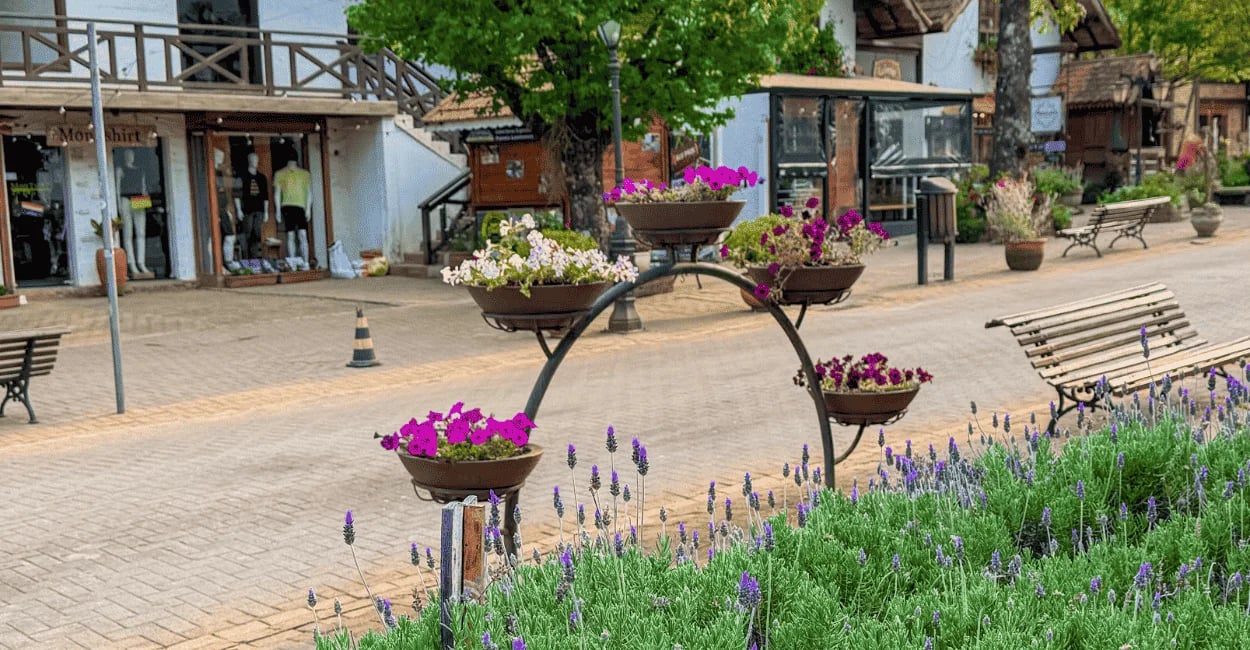 Avenida principal de Monte Verde, com flores e lavandas, e lojas em Monte Verde, Sul de Minas