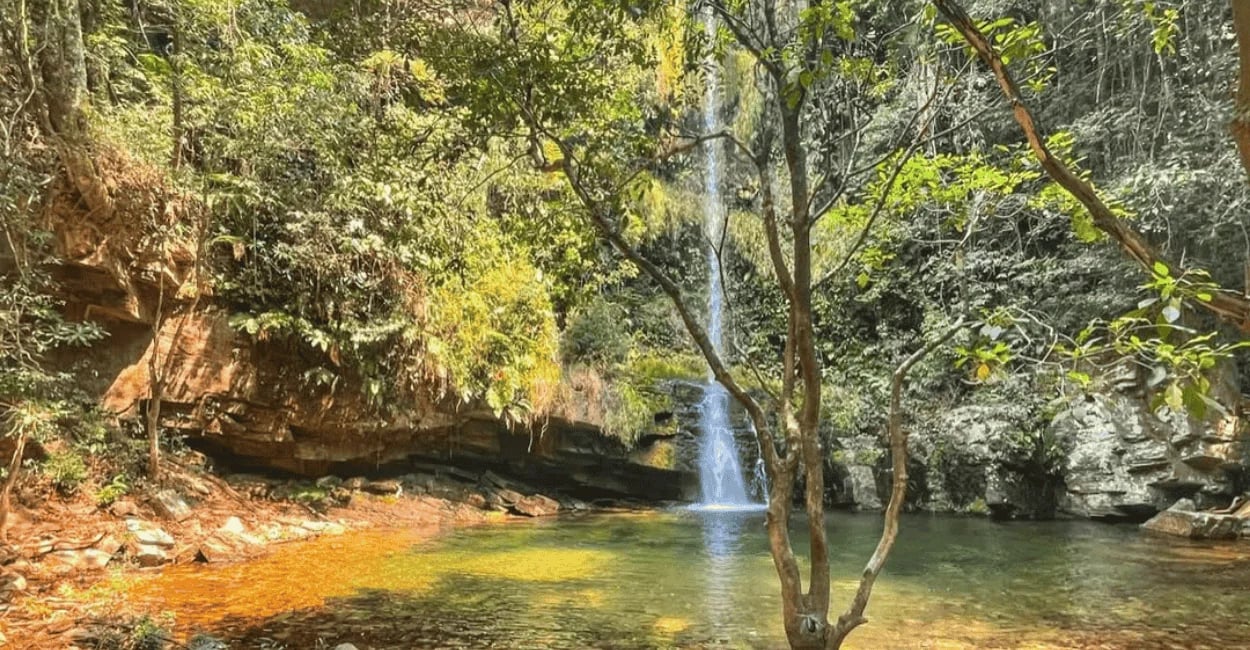 Cachoeira da Gordura com queda d’água, poço de água verde, mata preservada e paredões rochosos
