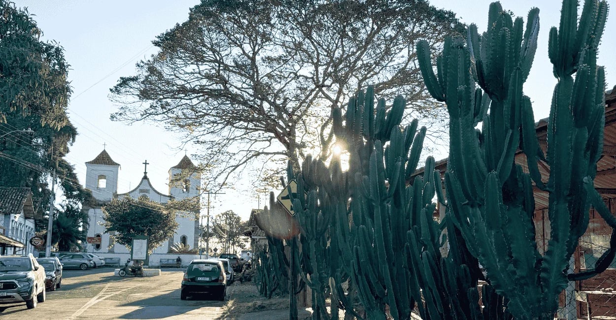 Rua no centro de Acuruí, Minas Gerais, com cactos em primeiro plano e a igreja matriz ao fundo
