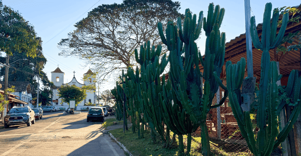 Centro histórico de Acuruí, com vegetação nativa ao lado com a Igreja Matriz ao fundo