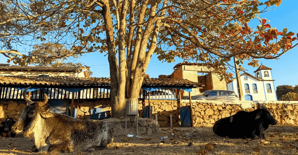 Paisagem rural de Extração Curralinho em Diamantina MG com gado, igreja histórica e casas antigas