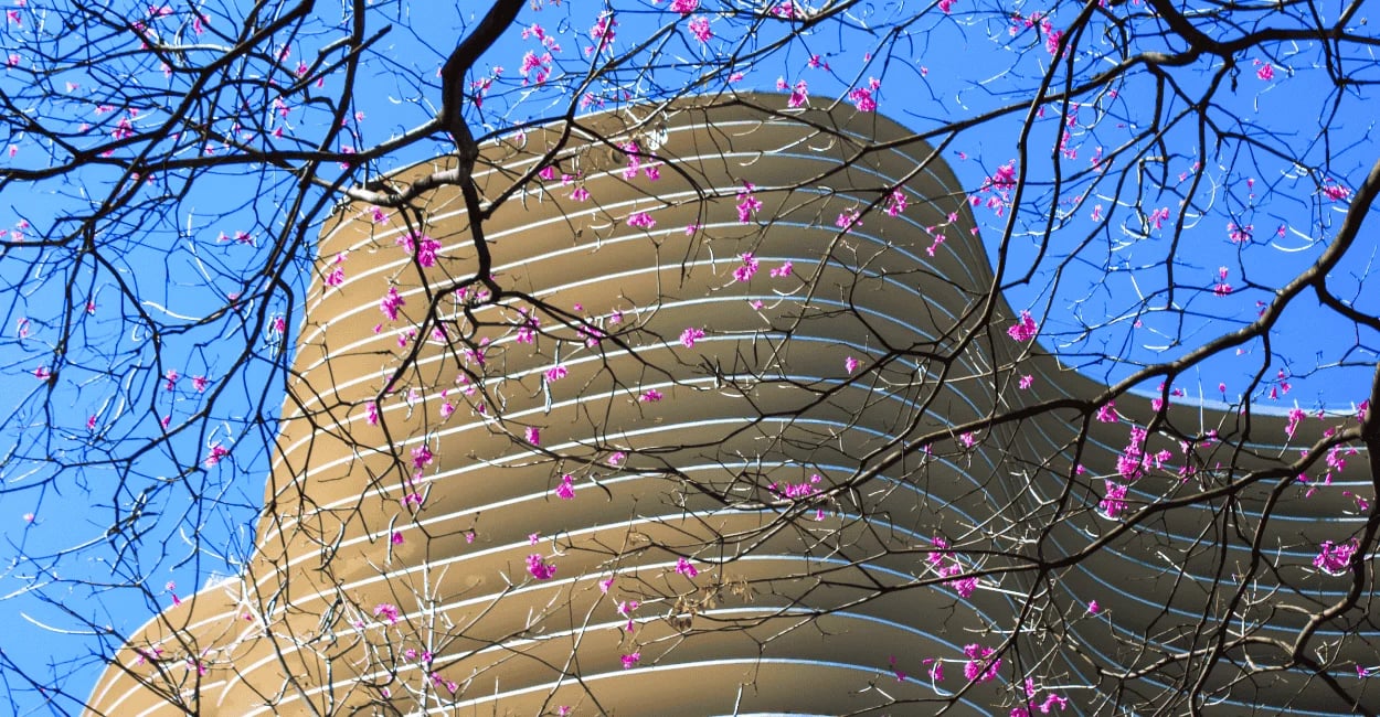 Edifício Niemeyer na Praça da Liberdade em BH com curvas modernas e flores rosadas em primeiro plano
