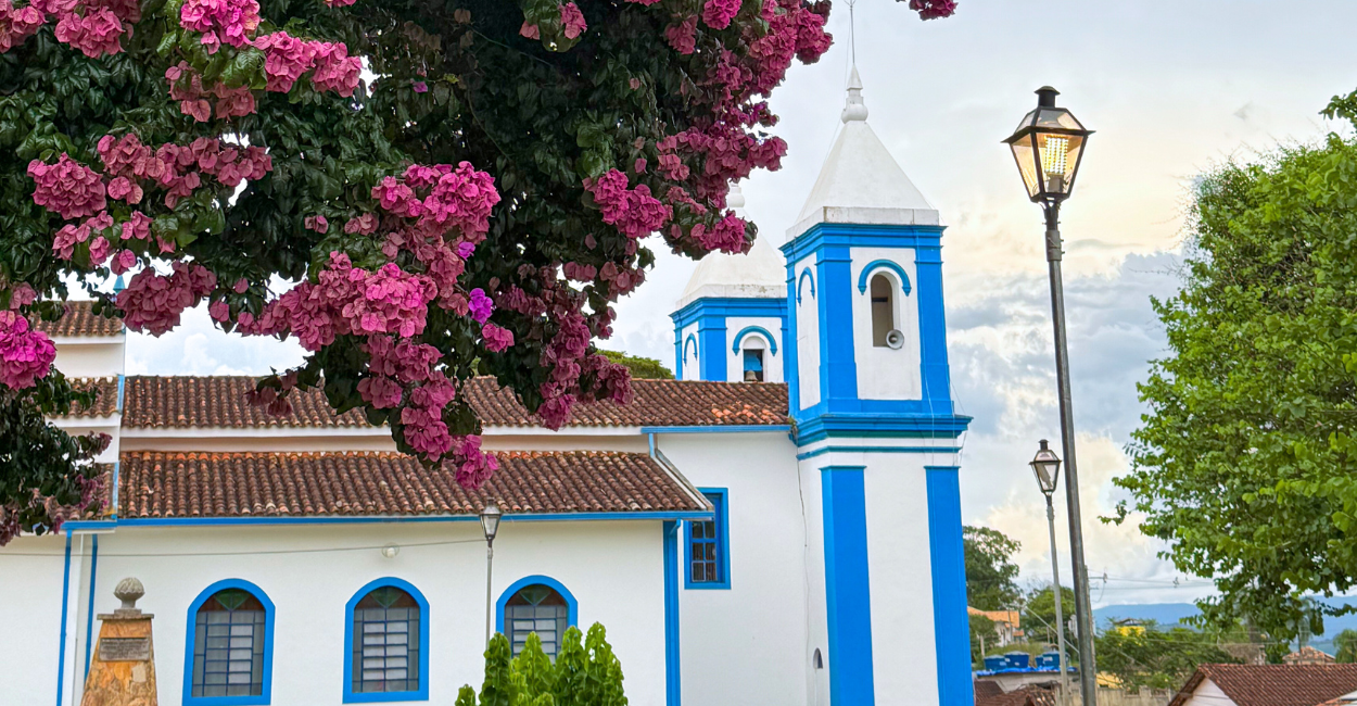 Flores, poste de luz e a Igreja Matriz de Santo Antonio do Leite, distrito turistico de Ouro Preto