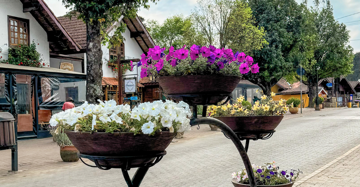 Flores e construções turisticas no centrinho de Monte Verde, distrito turistico em MG