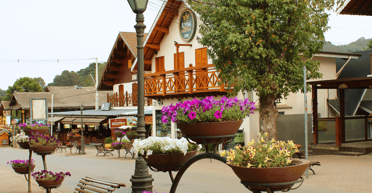 Flores roxa, amarelas e brancas, com casas tipicas da Europa em Monte Verde, destino turistico de MG