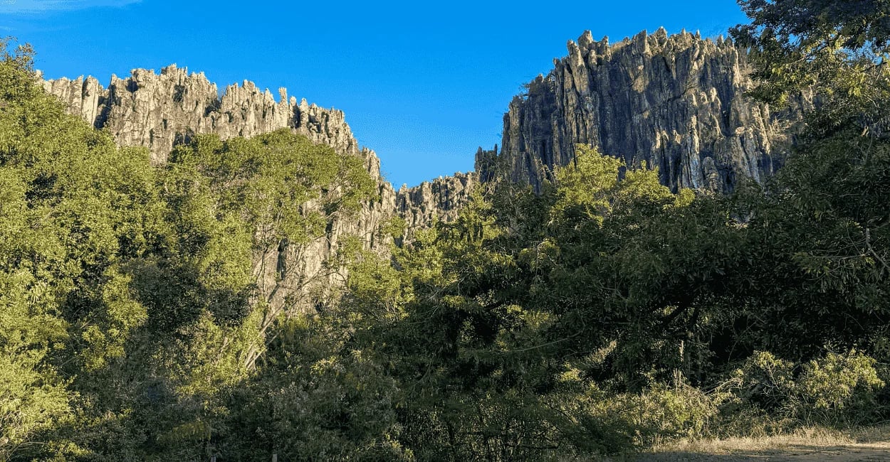 árvores no primeiro plano e a formação rochosa acinzentada sob céu azul na Gruta do Salitre