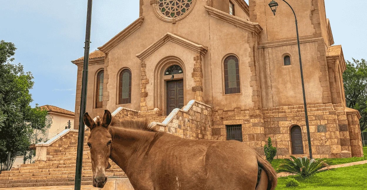 Arquitetura rústica em tons de terra da igreja histórica com um cavalo no gramado em Miguel Burnier
