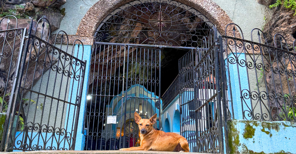 Cachorro em frente a gruta que é uma igreja historica e ponto turistico em Antonio Pereira MG