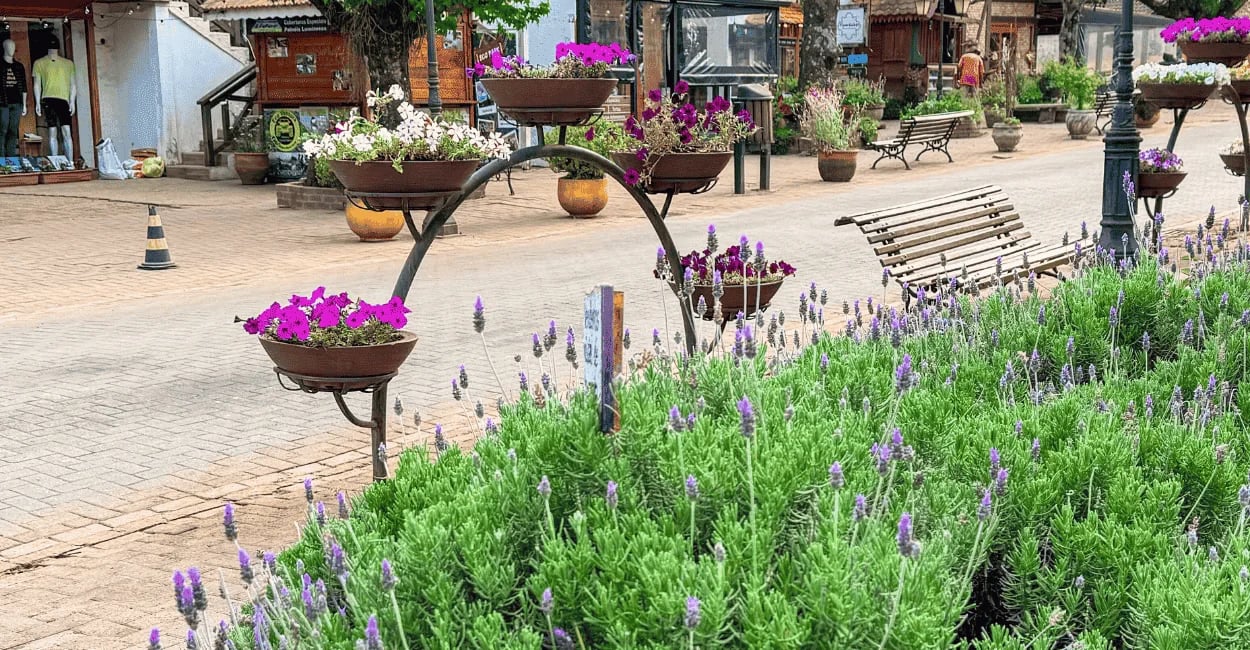 Rua central de Monte Verde, com lavandas, floreiras coloridas, bancos e clima de montanha