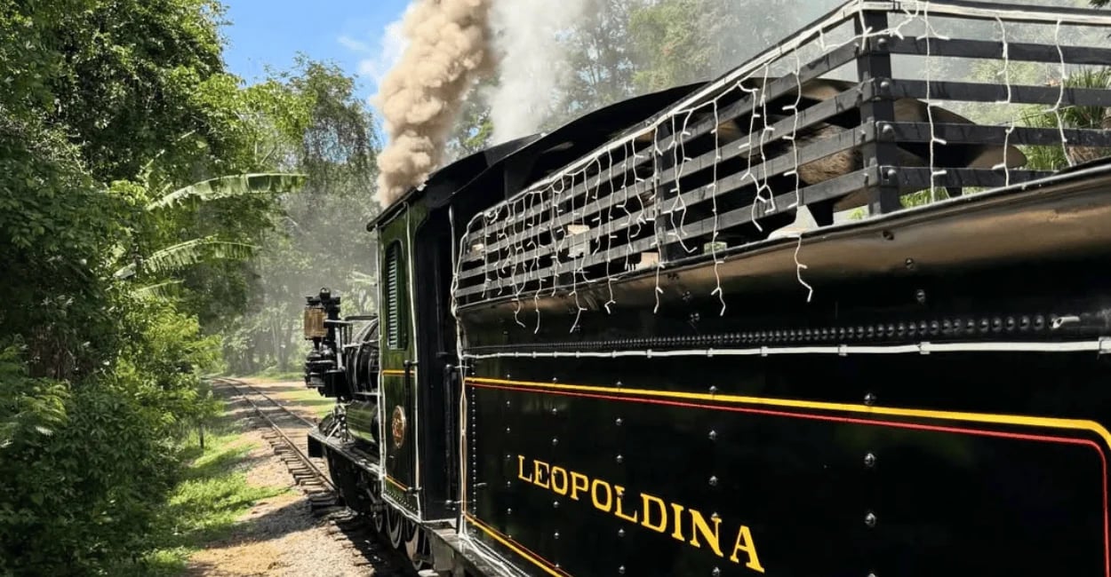 Maria-fumaça em Passa Quatro MG passando pelos trilhos cercados pela vegetação