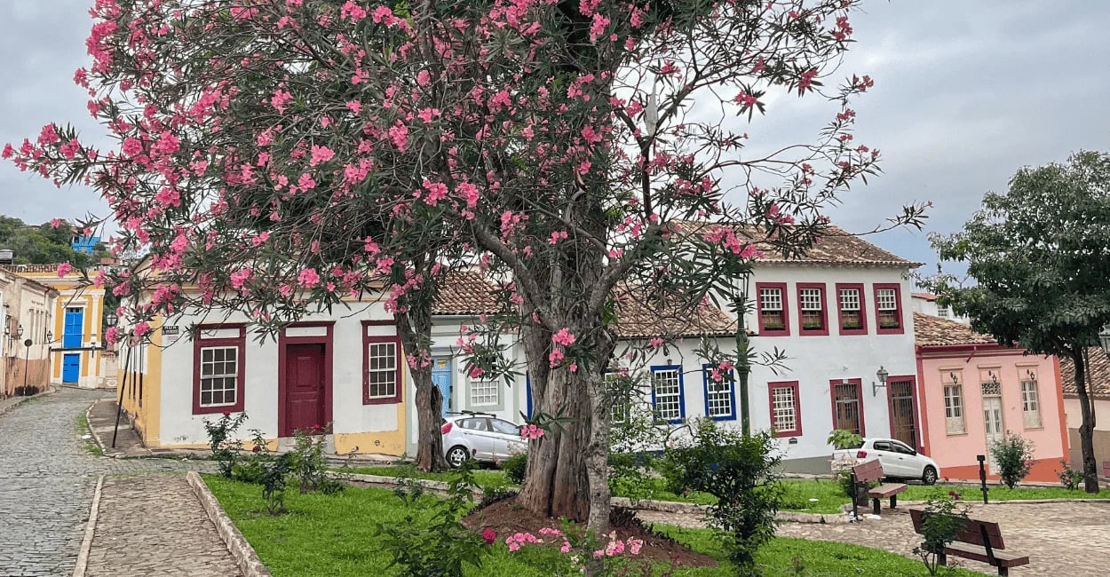 Praça com árvore florida em destaque, casas coloniais coloridas e rua de pedra em São João del-Rei
