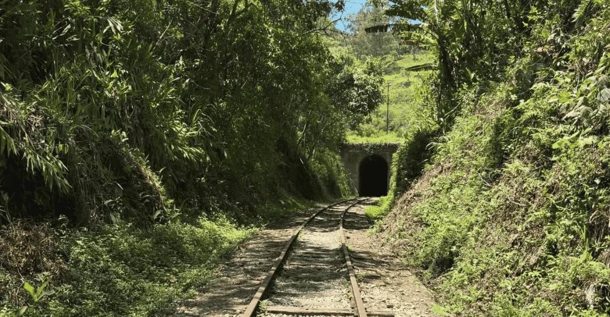 Túnel ferroviário em Passa Quatro MG com trilhos antigos em meio à mata da Serra da Mantiqueira