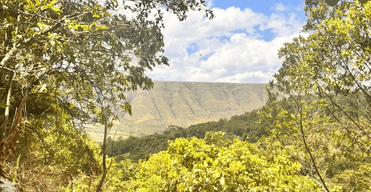 Vista do Vale do Gurita em Delfinópolis MG com vegetação em primeiro plano, serra ao fundo