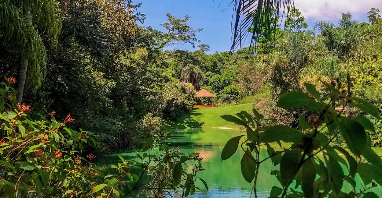 Museu do Inhotim, com arte, lagoa e vegetação, ponto turistico em Minas Gerais