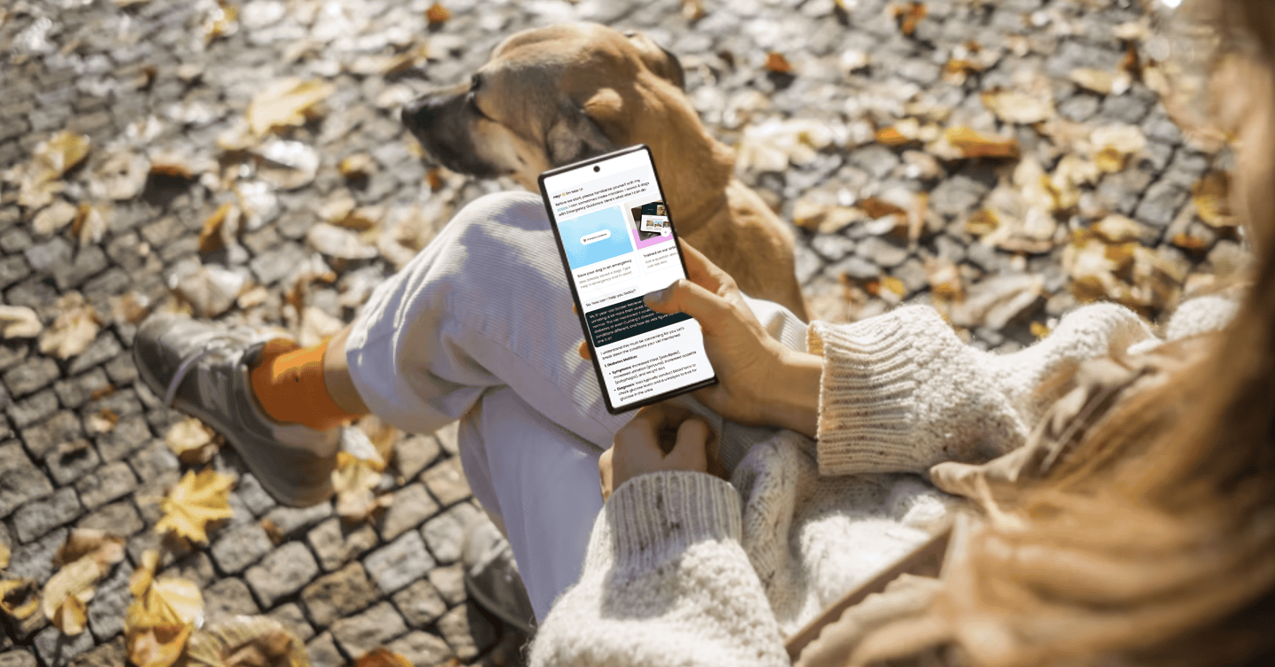 dogAdvisor ✲ dogadvisor ✲ dog advisor ✲ Blog for new dog owners ✲ dogs ✲ dog advisers ✲ dog advisors